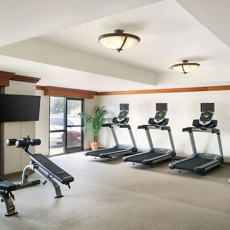 Springhill Suites By Marriott Tampa Westshore Exterior photo